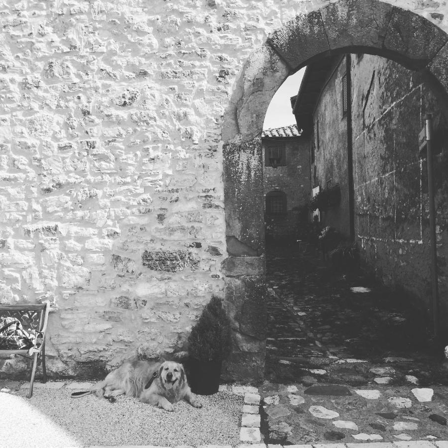 La Difesa Apartman San Romano  Kültér fotó