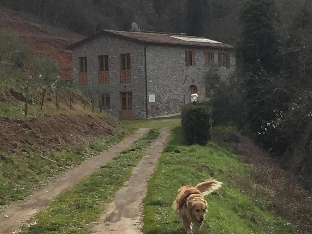 La Difesa Apartman San Romano  Kültér fotó